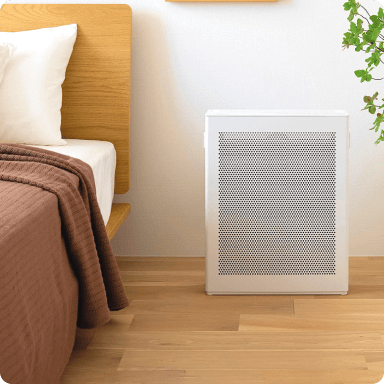 お出かけ・お弁当