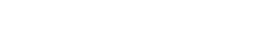 毎日の料理が楽しくなる　デイリーコンパクトプレート