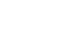Lunch × Every Day